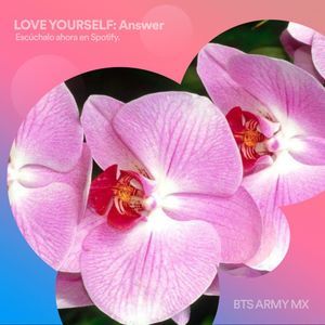 Meet your Posher, Azalia